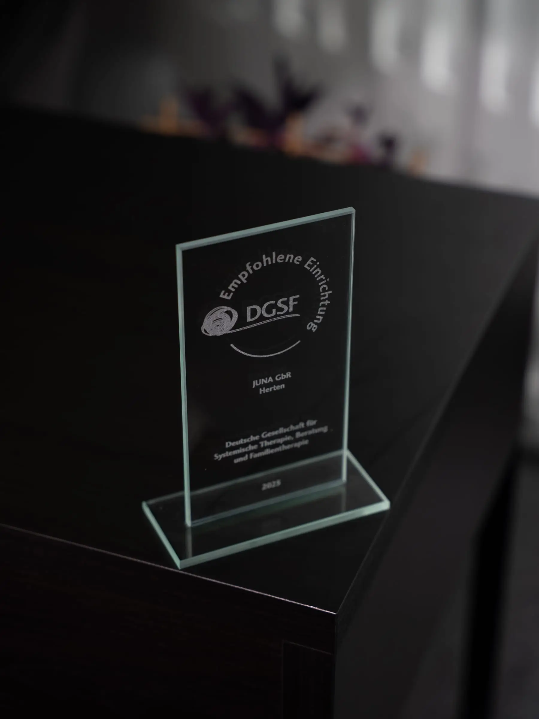 Auszeichnung „Empfohlene Einrichtung“ der DGSF für die JUNA GbR